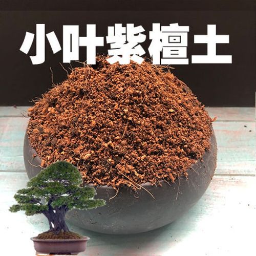clcey专用土土盆栽盆景营养土酸性沙质土壤种植土肥料 土8斤(已混入