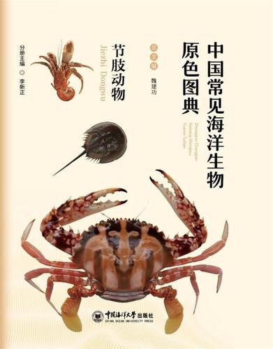 中国常见生物原色图典—节肢动物 李新正 9787567017504【正版】