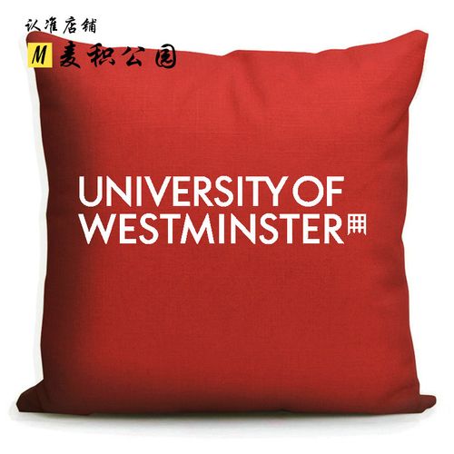 university of westminster威斯敏斯特大学纪念品英国周边抱枕