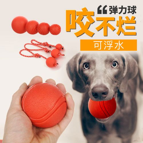 狗狗玩具球球拉布拉多阿拉斯加耐咬的狗咬球幼犬马犬训练宠物用品