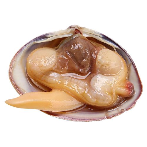 黄蚬丹东海鲜特产鲜活水产贝类贝壳无沙大号贝类制品