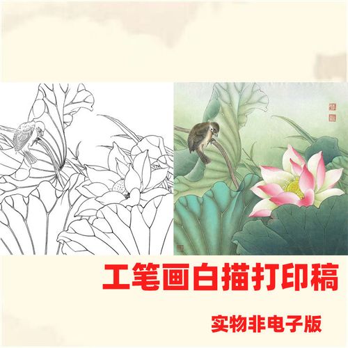 a535中国画工笔画花鸟荷花小鸟白描线稿底稿临摹勾线实物打印稿