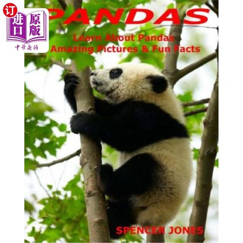 learn about pandas amazing pictures & fun facts 熊猫:了解关于