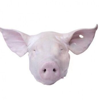 猪头新鲜生猪头农家散养土猪头整只猪头猪脸带耳朵劈开猪头肉生鲜圣梦