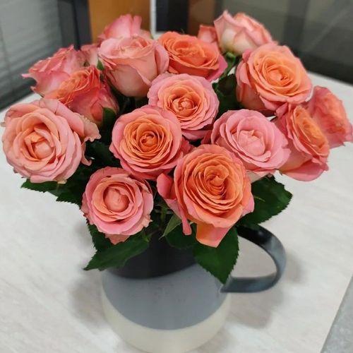 香妃玫瑰花粉色鲜花云南基地鲜花直发室内水养插花观赏花瓶鲜切花