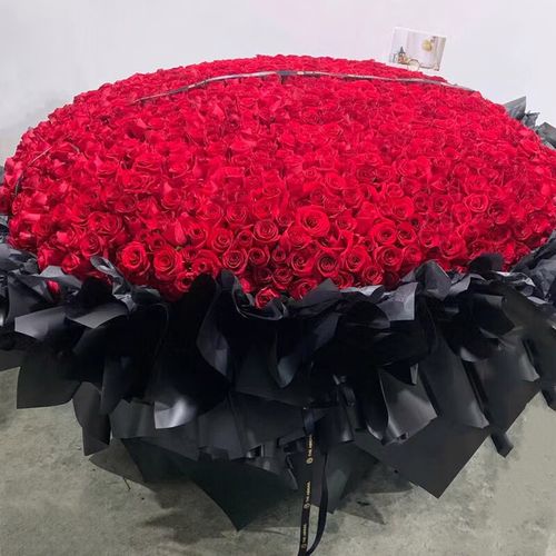 鲜花情人节同城配送99朵玫瑰花束送老婆女友表白订婚生日礼物 999朵红