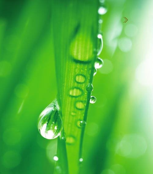 清新水滴树叶绿色背景素材图片免费下载_觅元素