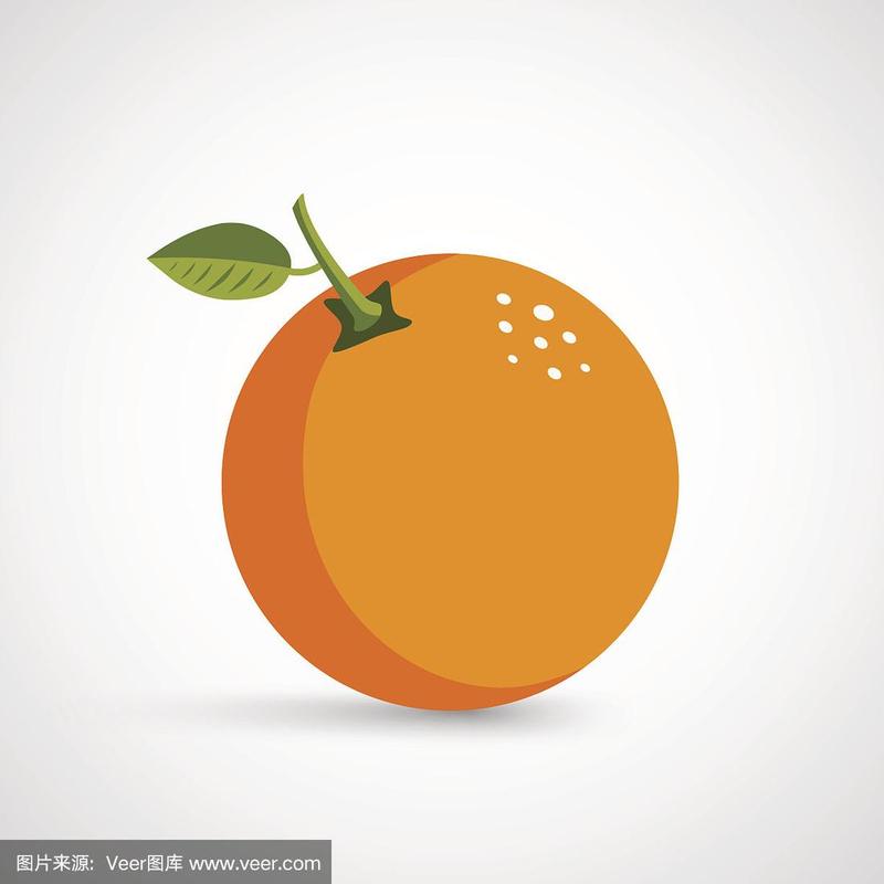 新鲜橙子矢量图
