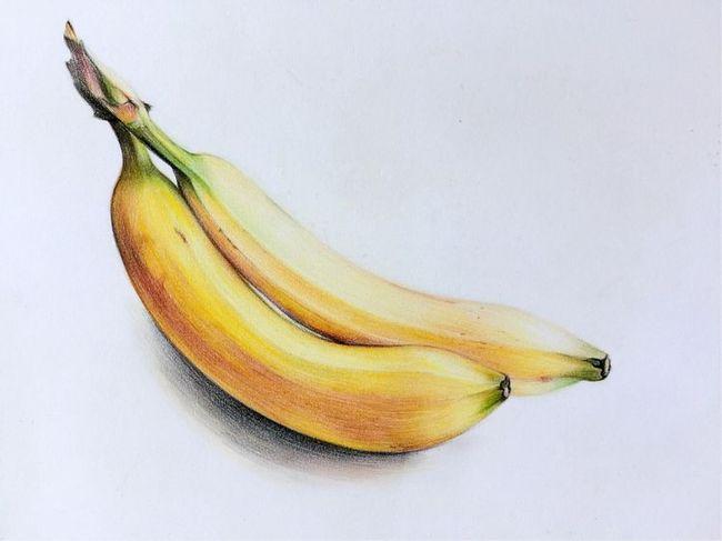 这类作品才能真正提高绘画能力两只香蕉彩铅手绘教程