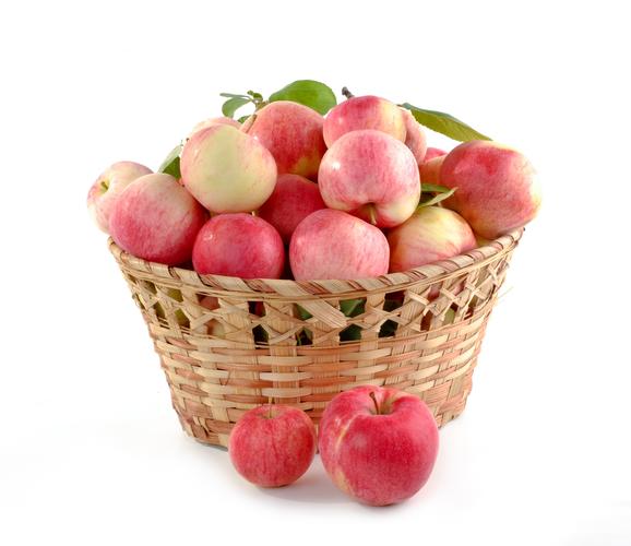 平凉苹果新鲜水果甘肃红富士大苹果当季脆甜多汁10斤包邮现摘现发
