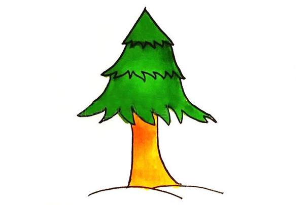 松树的简单画法,三角形松树简笔画 初级简笔画教程-第1张