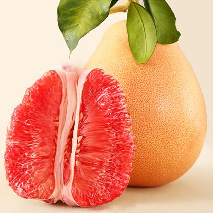 柚子的种类哪个品种好,正达三红蜜柚苗