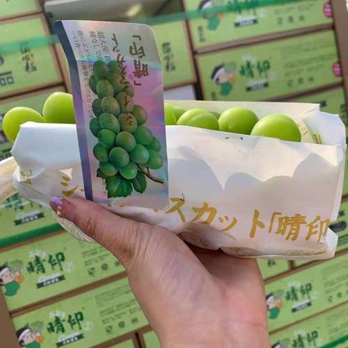 葡萄盒装礼盒5斤水果玫瑰日菓本阳光新鲜级晴葡萄