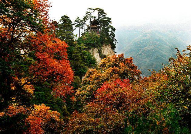 天水石门山——花木药珍,飞禽走兽,山林奇秀的自然美景