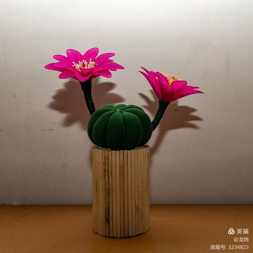 张慧玲和她的丝网花造花插花艺术