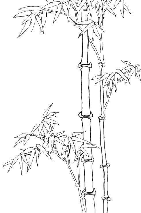 各种植物简笔画竹子
