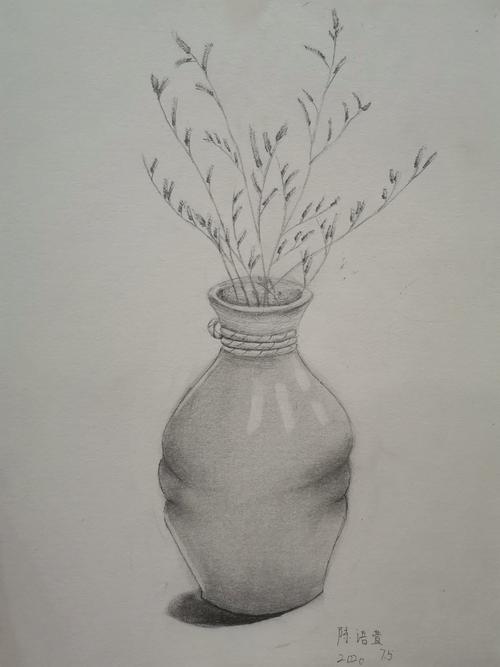 素描:干花瓶