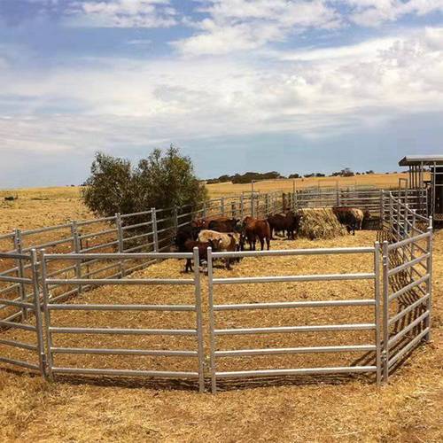 定制牛栅栏草原牧场养殖网马场隔离围栏网牧场围栏网马场羊圈围栏