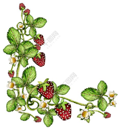 草莓藤蔓边角装饰图