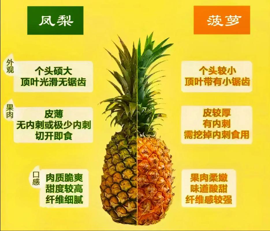 很多人搞不清楚,凤梨和菠萝 - 抖音
