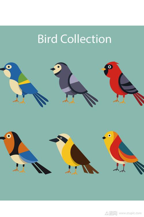 创意质感彩色小鸟动物卡通元素设计