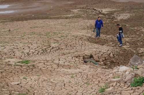 广东部分地区出现重度气象干旱 或持续到明年初春