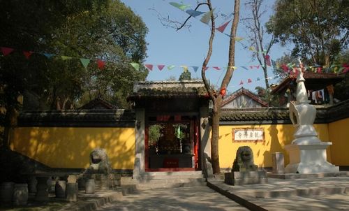 中国有座8000平米的寺庙,里面藏着一颗千岁的腊梅,就在南京|寺庙|龙泉