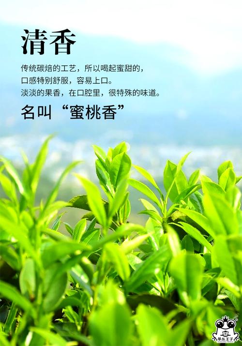 【老树系列】蜜桃香凤凰单丛茶 广东潮州炭焙工夫茶新茶 潮州工夫茶