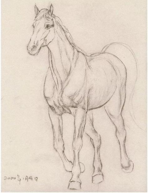 马怎么画马怎么画又简单又帅气