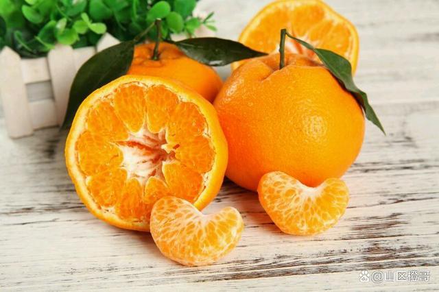 大雅柑橘,来自北纬30°自家果园的柑甜!