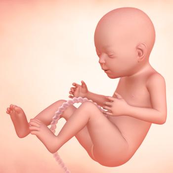 怀孕第21周:胎儿身体的变化