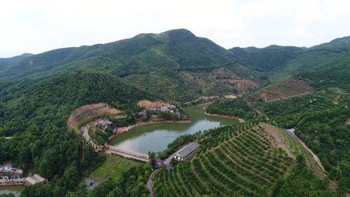 乡村振兴战略又一国家级荣誉加冕湘东区排上镇入选全国农业产业强镇