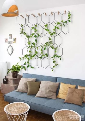 墙面装饰设计:被挂起来的绿植,你家墙可以很美!