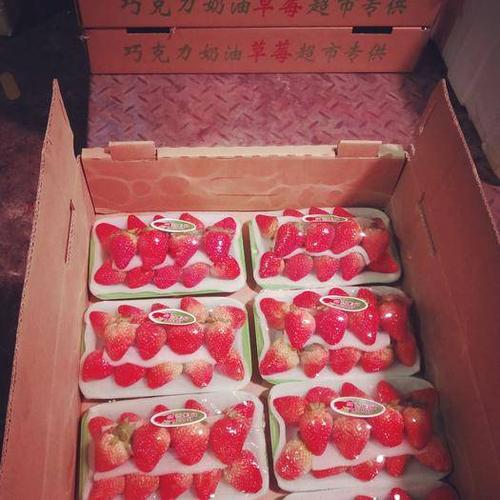 浙江盒装草莓