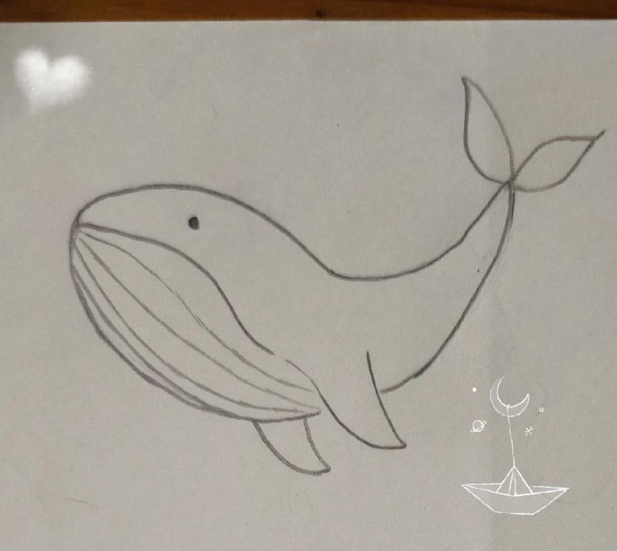 简笔画鲸鱼 简笔画鲸鱼   我就不信有人不会