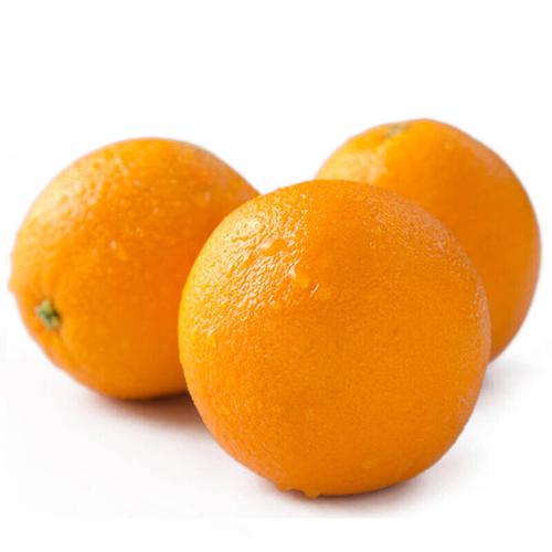 埃及进口橙子大果25kg装埃及夏橙