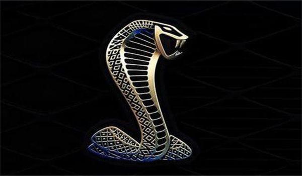 有眼镜蛇标志的车是福特野马,道奇毒蛇,福特谢尔比跑车,也称为谢尔比.