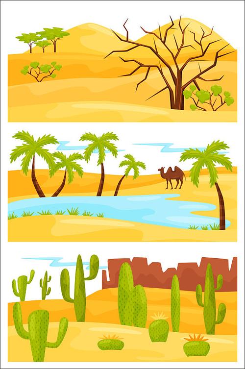 沙漠绿洲骆驼仙人掌插画