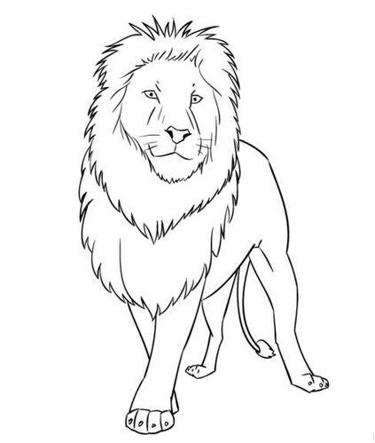 学画卡通狮子简笔画图解素描简笔画狮子