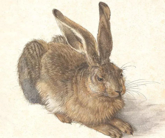 发掘了一只野兔作为一个生命的存在意义:丢勒著名油画作品《野兔》
