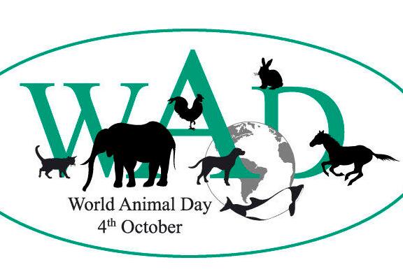 动物日"(worldanimalday)源自13世纪意大利修道士圣·弗朗西斯的倡议