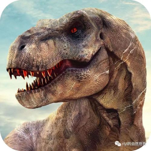 【恐龙探索】分庭抗礼——南方巨兽龙!