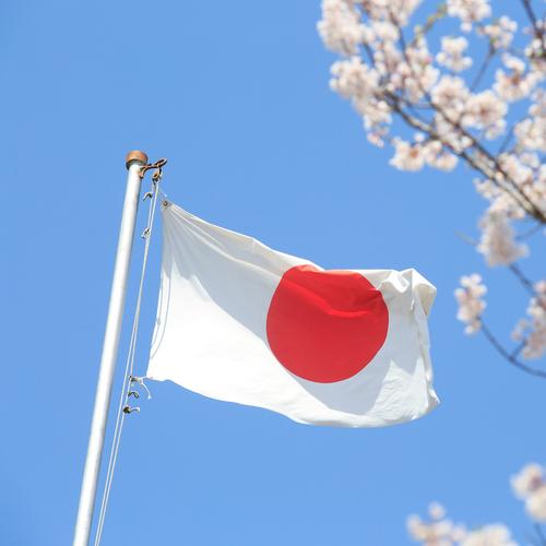 4号100d全弹水印日本国旗运动会东京现货销售跨境直供各国国旗