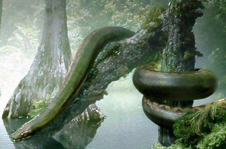 世界上最大的蛇究竟有多大?秦岭"盘山巨蟒"真的存在吗?
