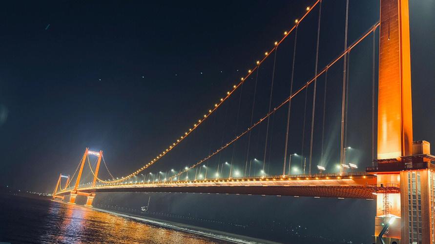 武汉最美大桥鹦鹉洲长江大桥
