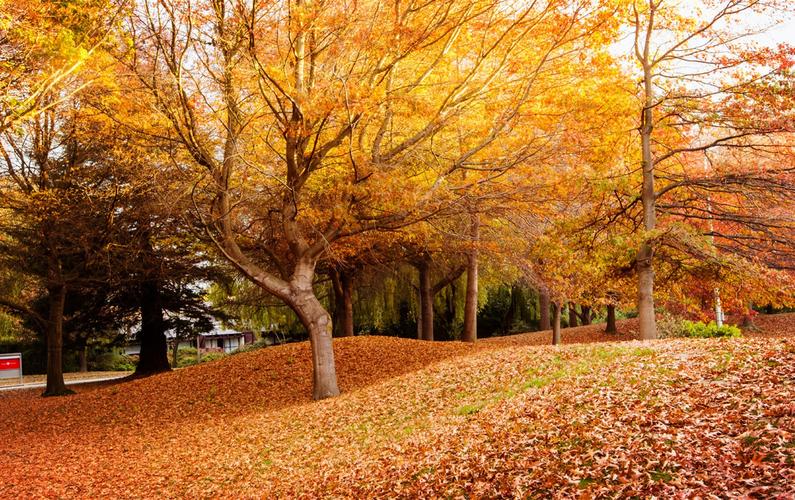 唯美秋景桌面壁纸_美丽养眼的秋天风景