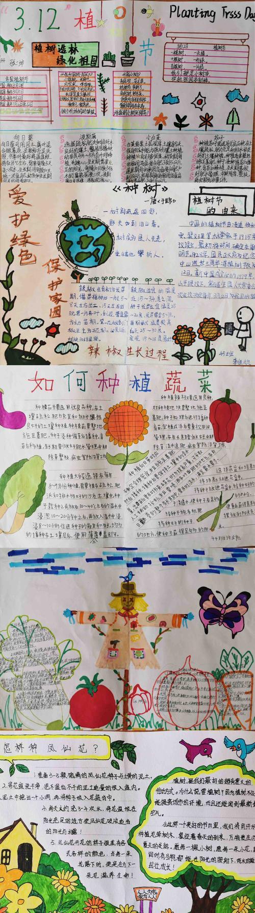 茄子的手抄报三年级手抄报植物手抄报的简单画法植物手抄报怎么画的又