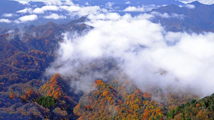 其它 云雾缭绕光雾山 写美篇光雾山国家aaaa级旅游景区位于川陕交界处