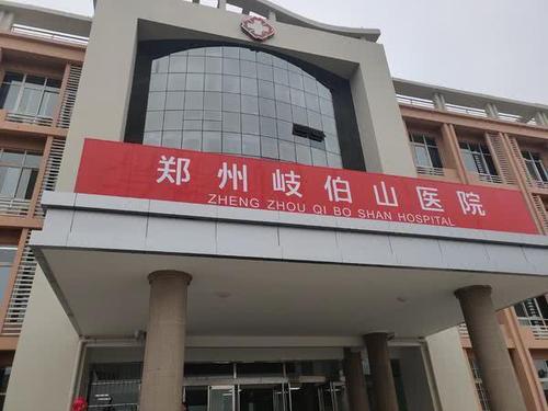 河南版"小汤山"命名为"郑州岐伯山医院",为何是"岐伯山"?