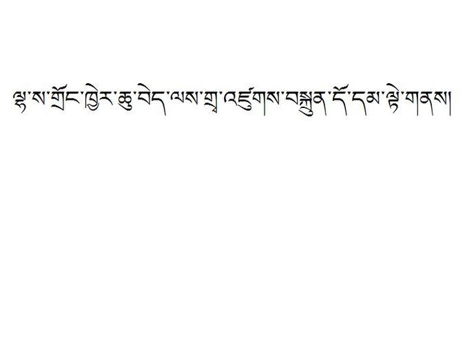拉萨市水利工程建设管理中心 藏文翻译怎么写?